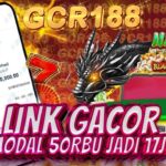 Daftar Hoki Terbaik: Pilihan Terbaru untuk Menangkan Hadiah Besar