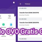 Gacor Ovo: Cara Mudah Menambah Saldo Ovo dengan Cepat!