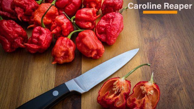 Manfaat dan Keamanan Konsumsi Cabai Habanero: Apakah Benar-benar Aman untuk Dikonsumsi?